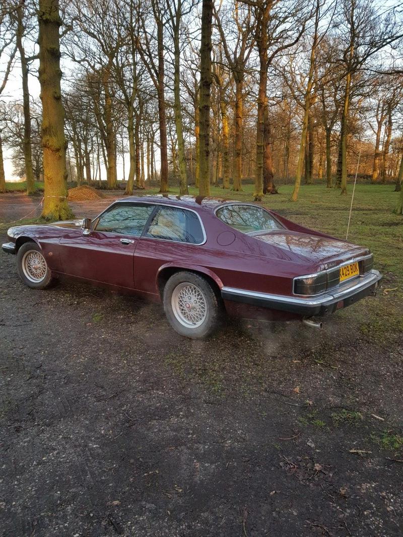 JAGUAR XJS