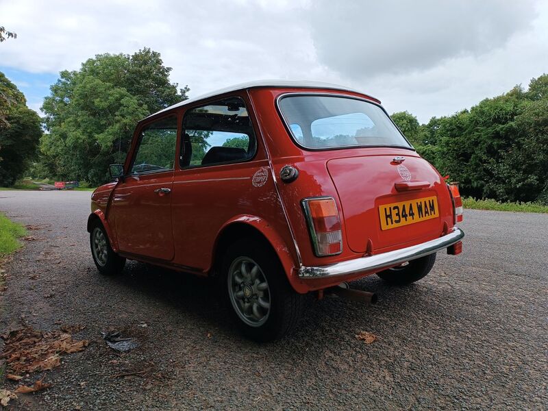 ROVER MINI