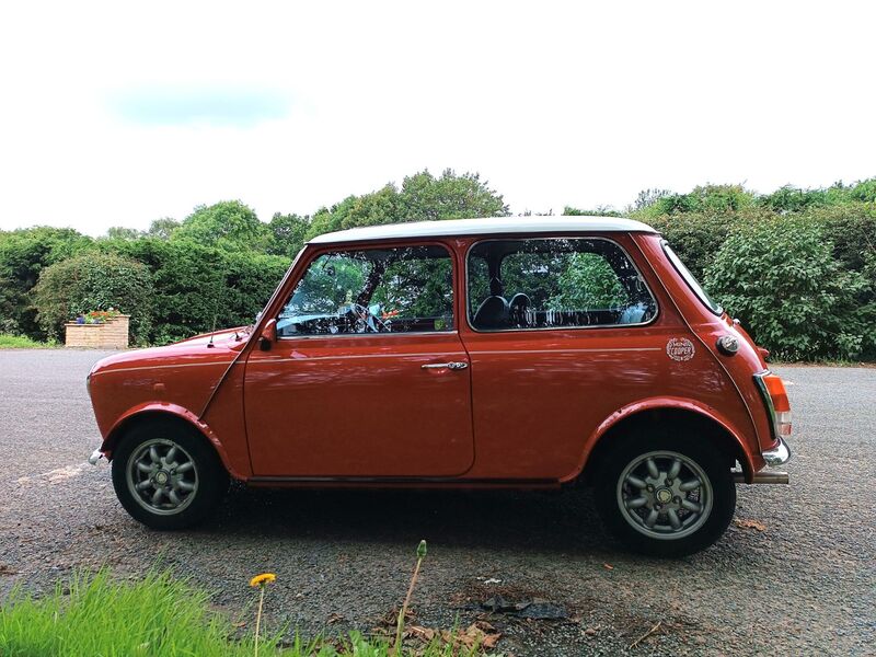 ROVER MINI