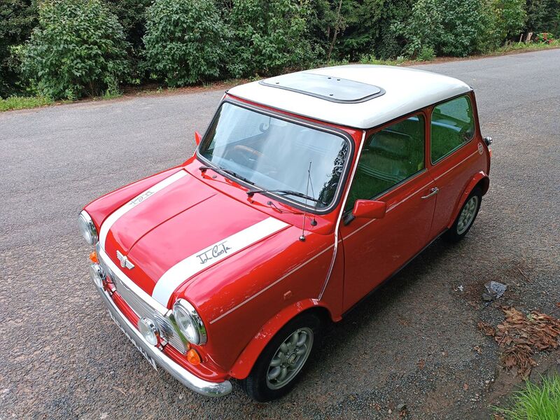 ROVER MINI