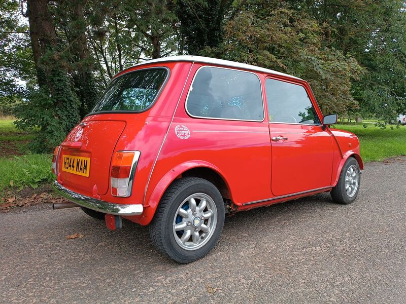 ROVER MINI