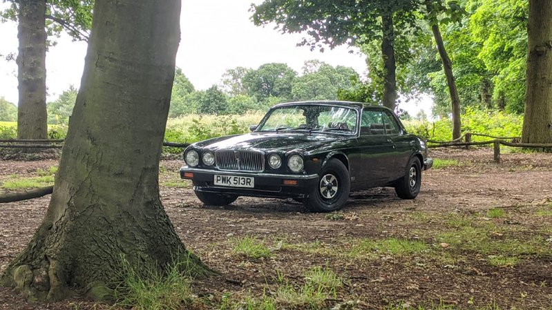 View JAGUAR XJ12 Coupe