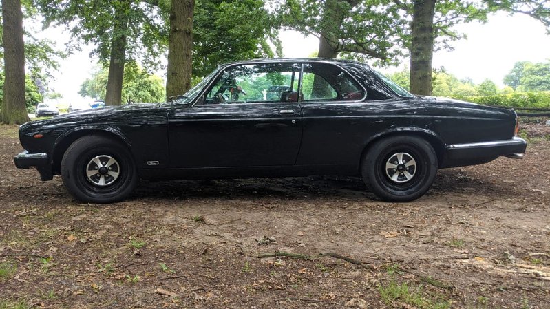 JAGUAR XJ12