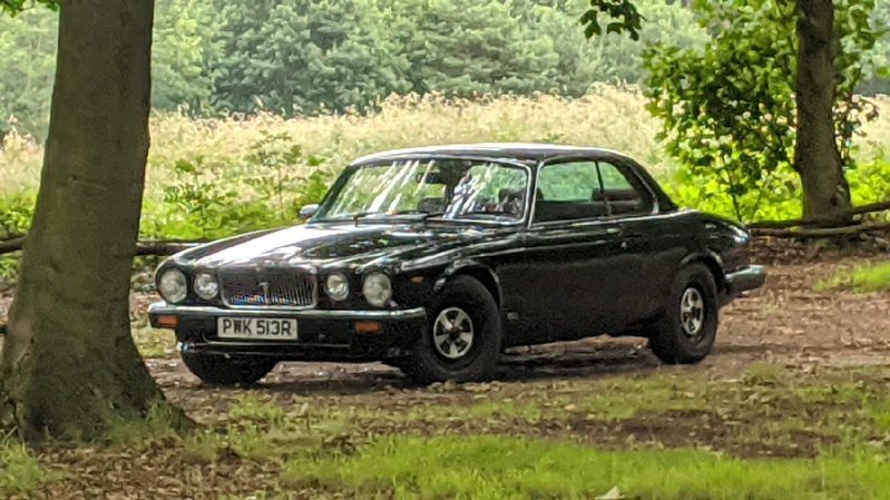 JAGUAR XJ12