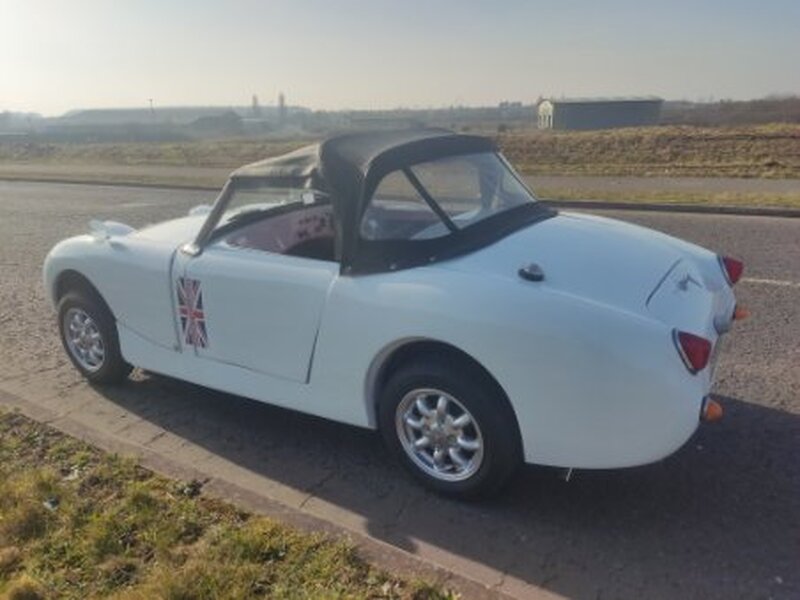 AUSTIN HEALEY FROGEYE SPRITE