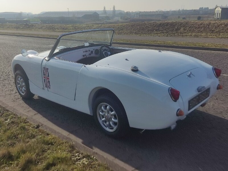 AUSTIN HEALEY FROGEYE SPRITE