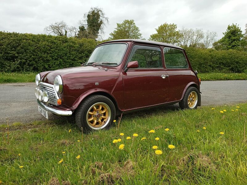 MINI MINI