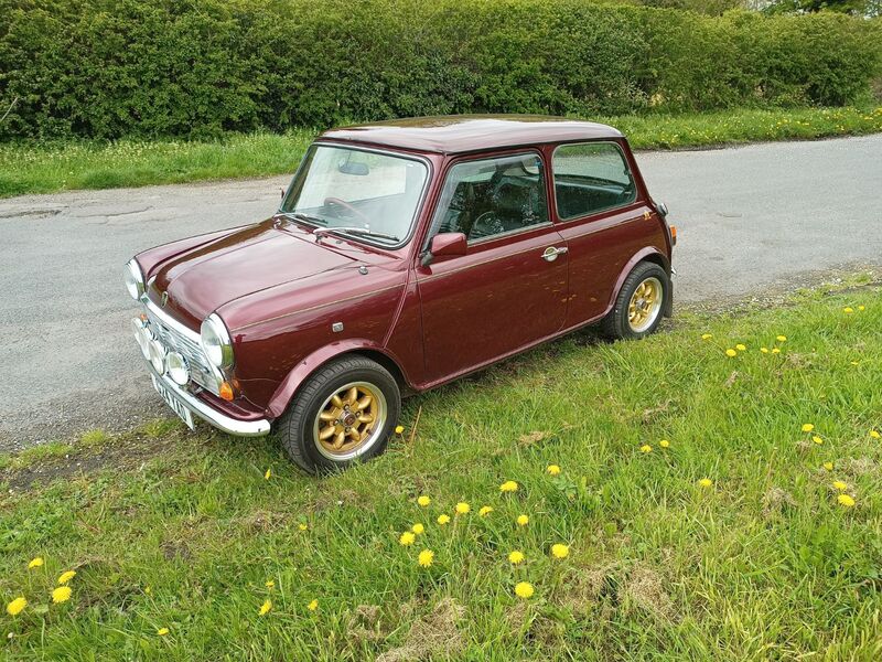 MINI MINI