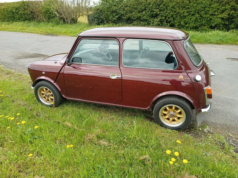 MINI MINI